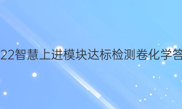 2022智慧上进模块达标检测卷化学答案
