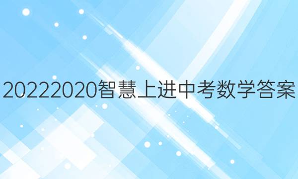 20222020智慧上进中考数学答案