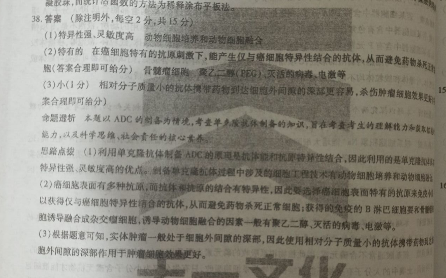 初一英语周报第九期2021-2022答案