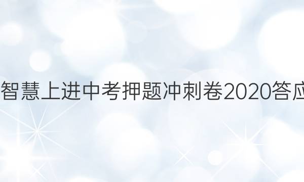 2022智慧上进中考押题冲刺卷2020答应答案