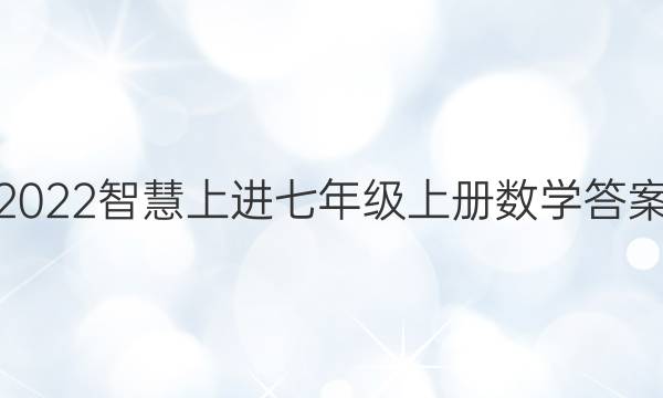 2022智慧上进七年级上册数学答案