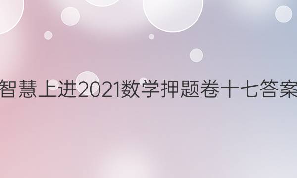 智慧上进2021数学押题卷十七答案