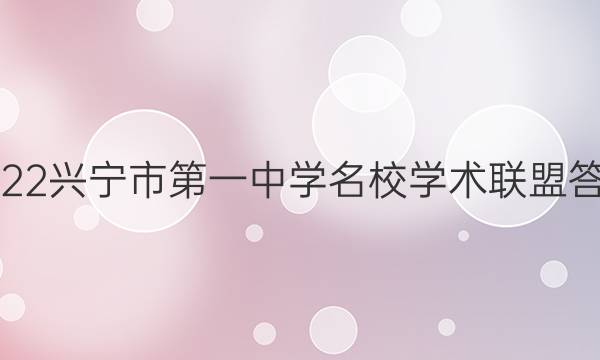 2022兴宁市第一中学名校学术联盟答案