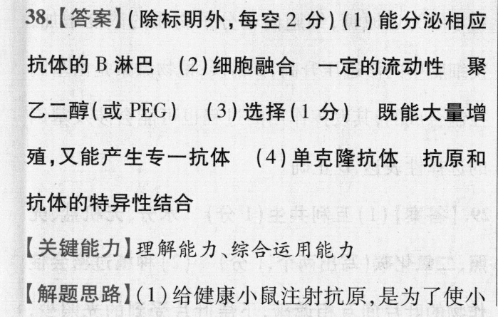 image.png@!test