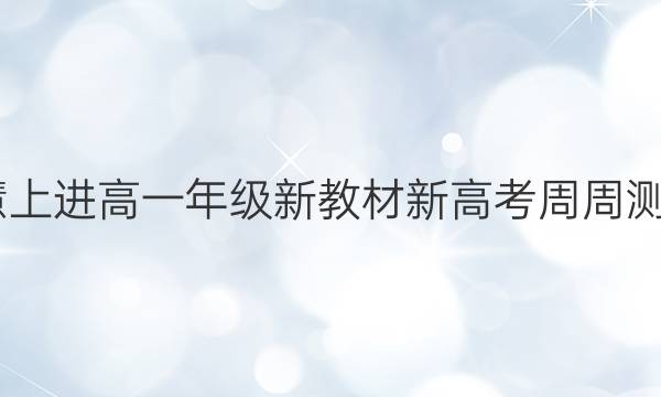 2022智慧上进高一年级新教材新高考周周测数学答案