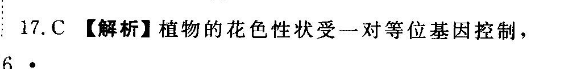 image.png@!test