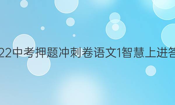 2022中考押题冲刺卷语文1智慧上进答案