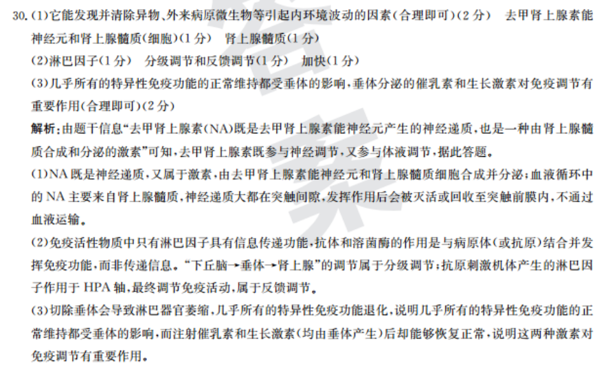 image.png@!test