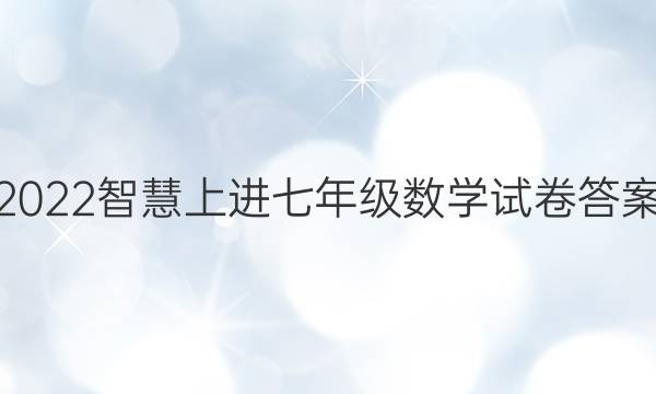 2022智慧上进七年级数学试卷答案