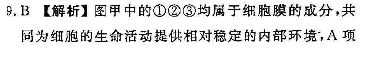 ˮ2021-2022ӢͼƬ