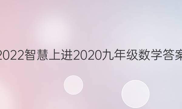 2022智慧上进2020九年级数学答案