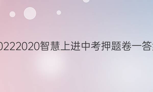 20222020智慧上进中考押题卷一答案
