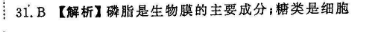 image.png@!test