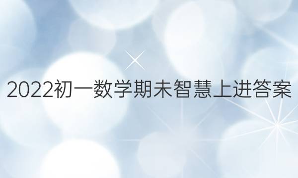 2022初一数学期未智慧上进答案