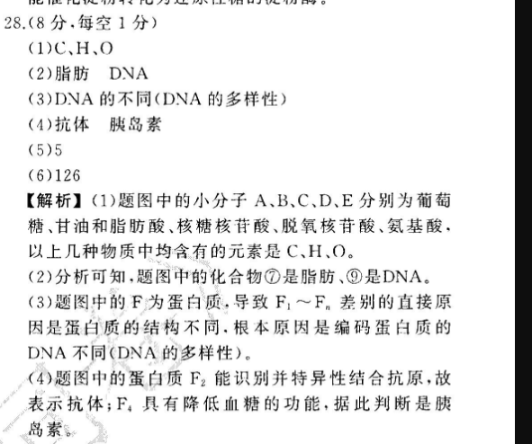 image.png@!test