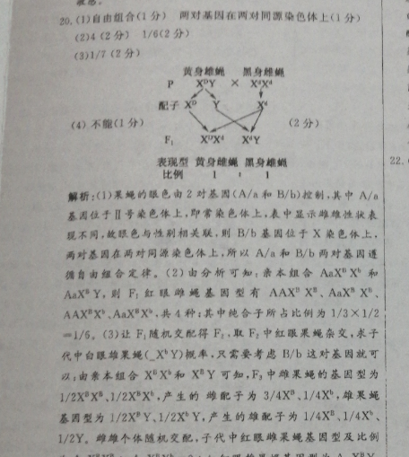 image.png@!test