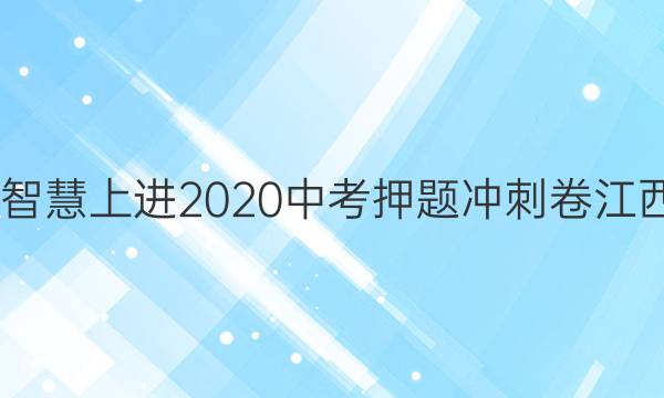 2022智慧上进2020中考押题冲刺卷江西答案