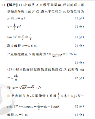 2020至2022年七年级上册英语教育周报答案