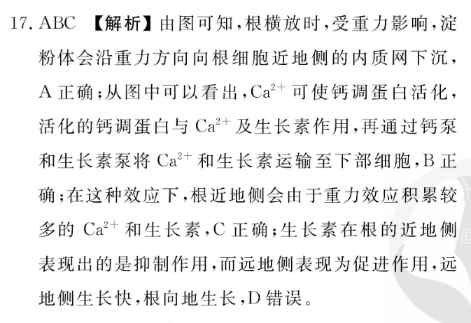 image.png@!test