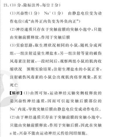 image.png@!test