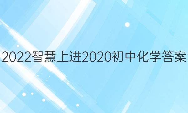 2022智慧上进2020初中化学答案