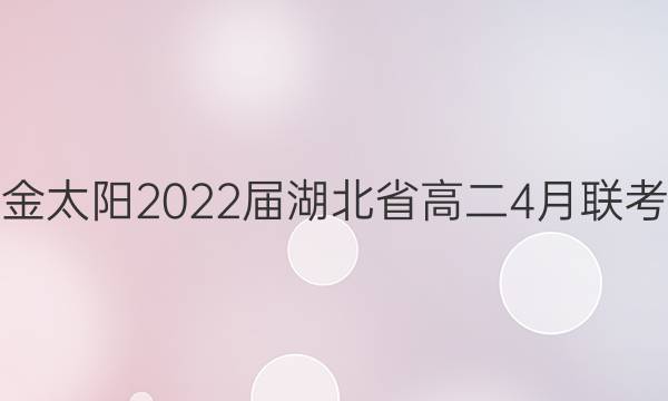 金太阳2022届湖北省高二4月联考(22-03-406B)数学试题答案