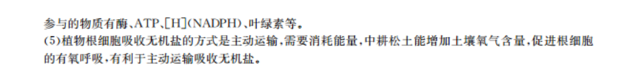image.png@!test