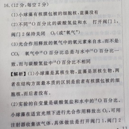image.png@!test