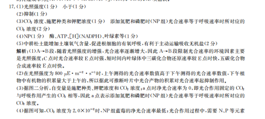 image.png@!test