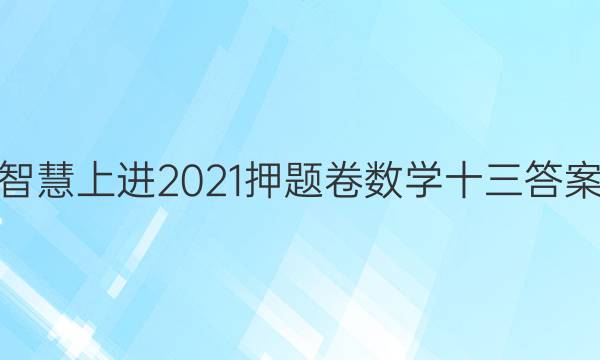 智慧上进2021押题卷数学十三答案