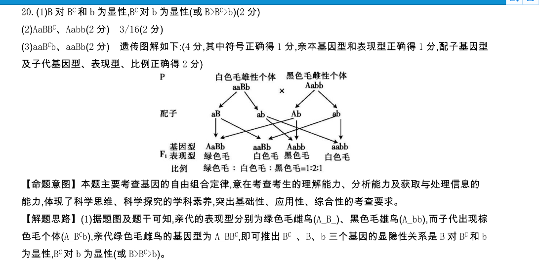 image.png@!test