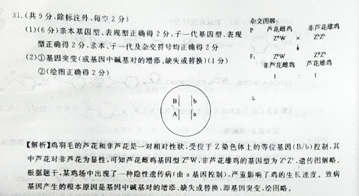 image.png@!test