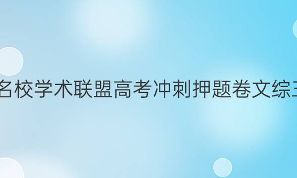 2022名校学术联盟高考冲刺押题卷文综三答案