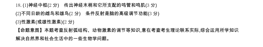 image.png@!test