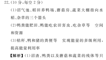 image.png@!test