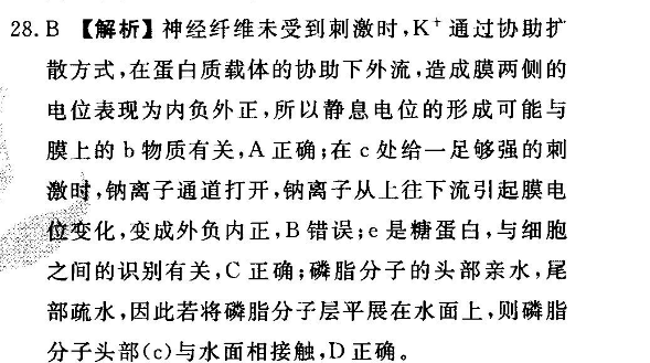image.png@!test
