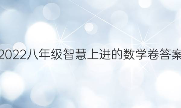 2022八年级智慧上进的数学卷答案