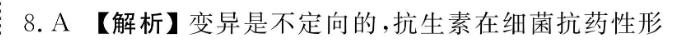 image.png@!test