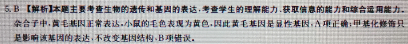 image.png@!test
