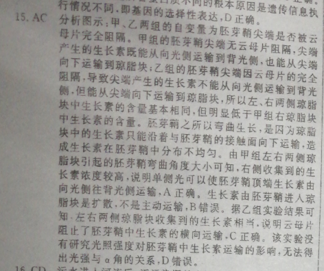 image.png@!test