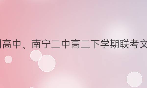 2022届柳州高中、南宁二中高二下学期联考文科数学答案
