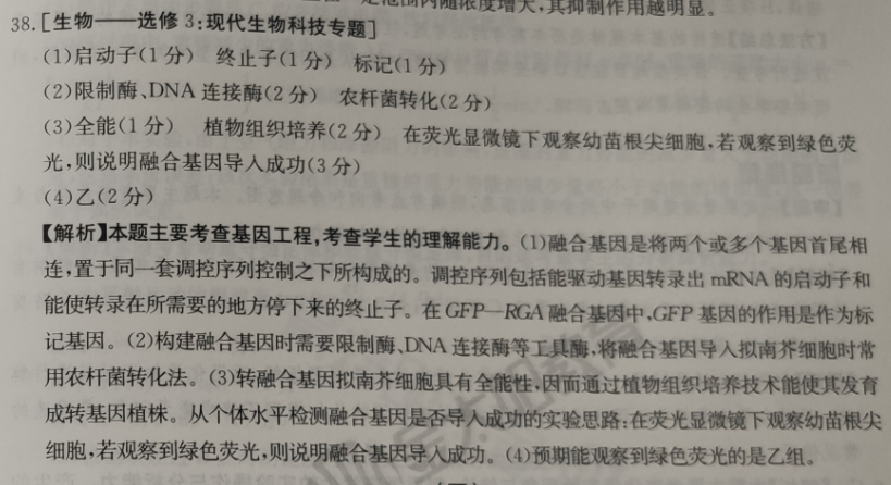 image.png@!test