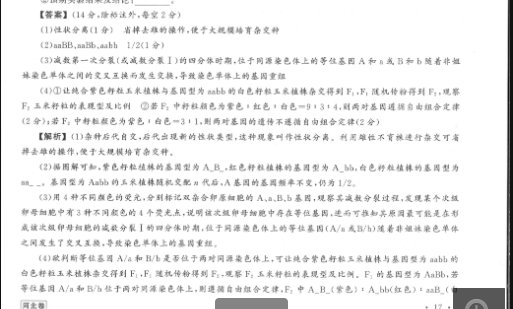 image.png@!test