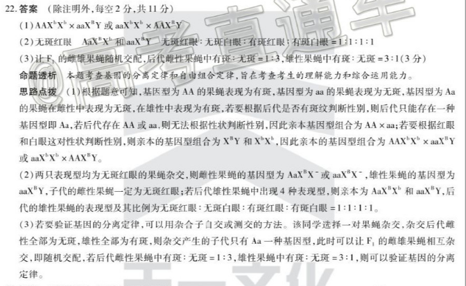 image.png@!test