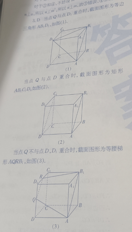 [ģ]2022ӦԿ()2ѧͼƬ