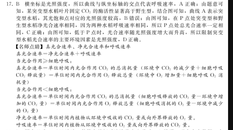 image.png@!test