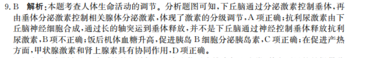 image.png@!test