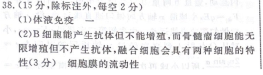 2021-2022 ѧ˫ﱨ RXα 32ڴͼƬ