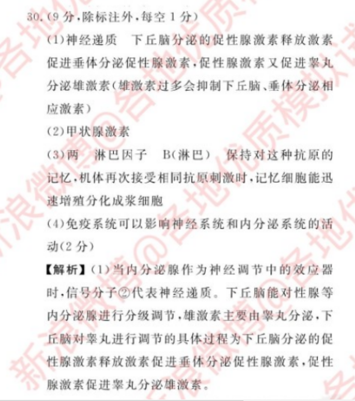 image.png@!test