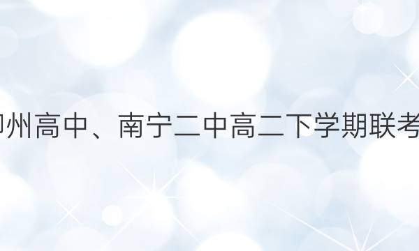 2022届柳州高中、南宁二中高二下学期联考政治答案